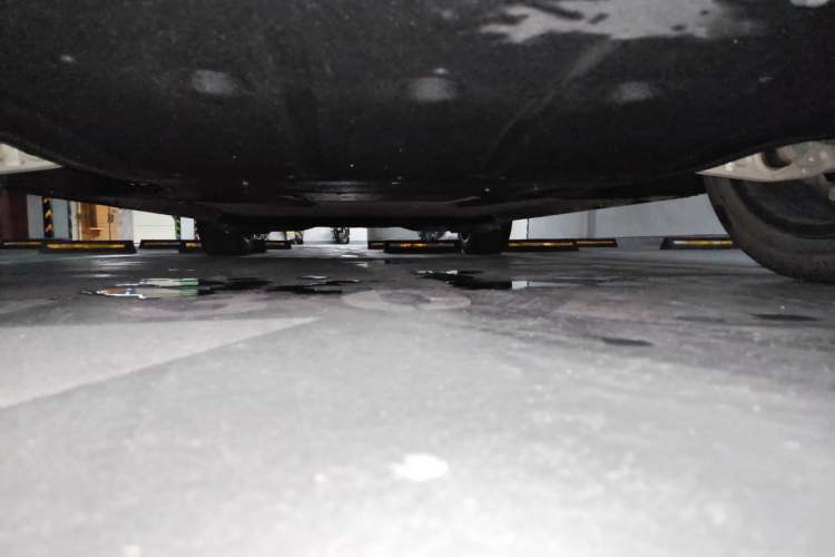 Used IM LS6 2023 Max Standard Edition Chassis Front