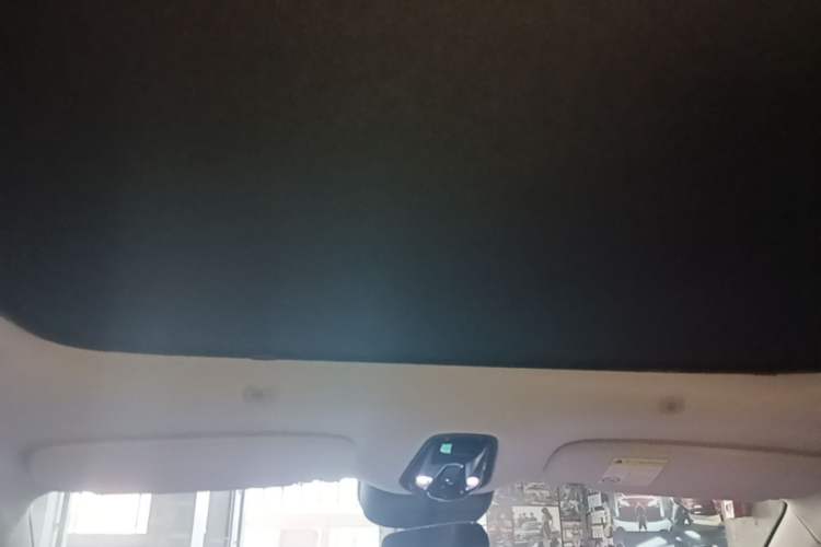 Used IM LS6 2023 Max Standard Edition Headliner