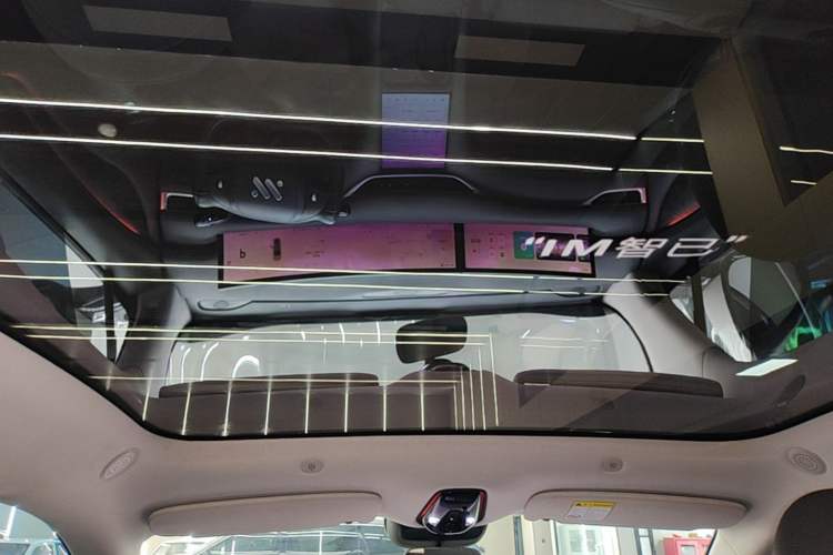 Used IM LS6 2023 Max Standard Edition Headliner