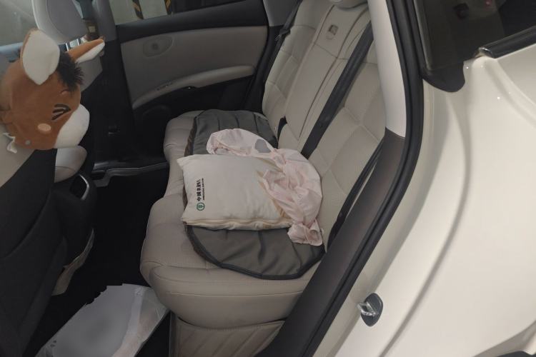 Used IM LS6 2023 Max Standard Edition Left Rear Seat
