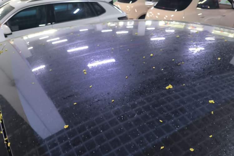 Used IM LS6 2023 Max Standard Edition Roof