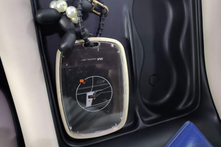 Used IM LS6 2023 Max Standard Edition Vehicle Key