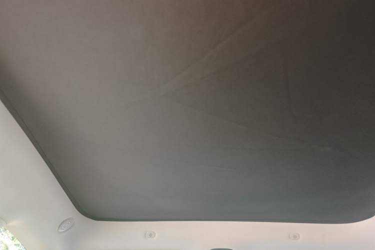 Used IM LS6 2023 Max Standard Edition Headliner