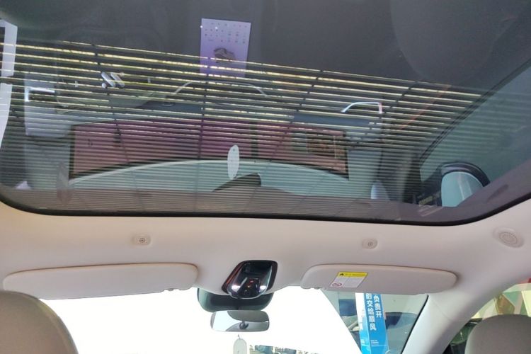 Used IM LS6 2023 Max Standard Edition Headliner