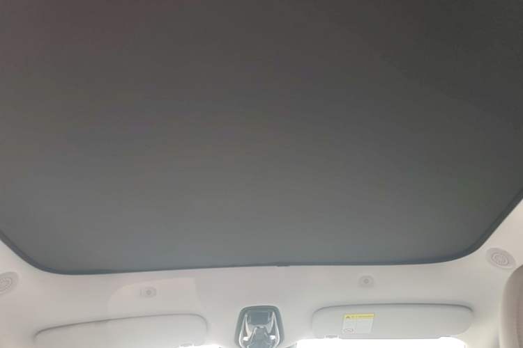 Used IM LS6 2023 Max Standard Edition Headliner