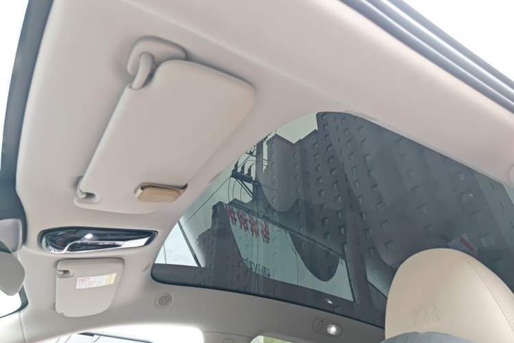 Used IM LS6 2023 Max Standard Edition Headliner