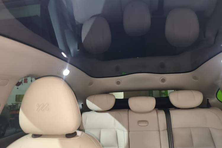 Used IM LS6 2023 Max Enhanced Performance Edition Headliner