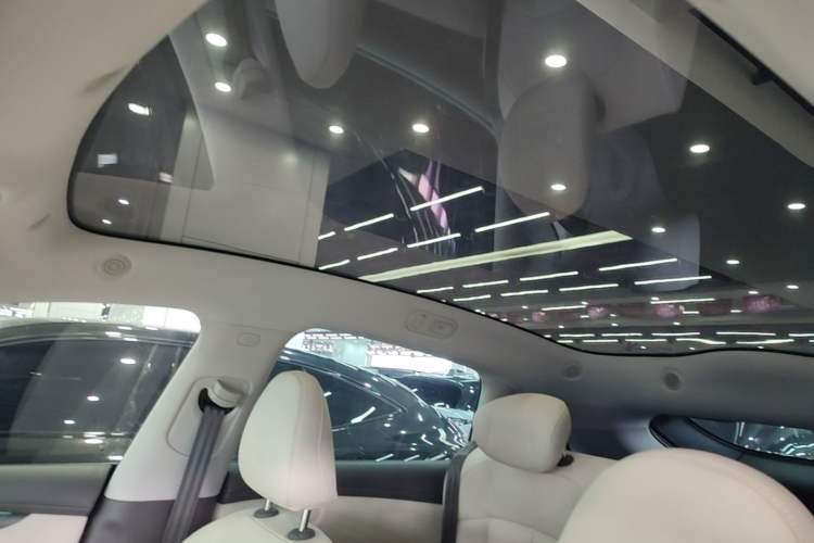 Used IM LS6 2023 Max Standard Edition Headliner