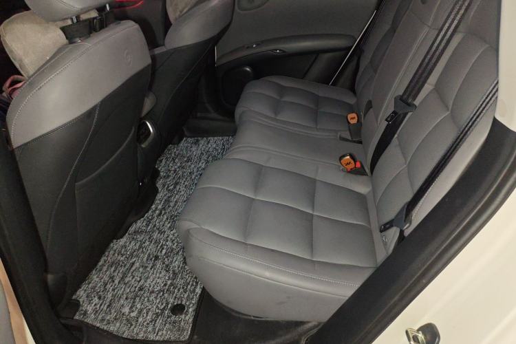 Used IM LS6 2023 Max Standard Edition Left Rear Seat