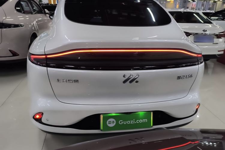 Used IM LS6 2023 Max Standard Edition Rear