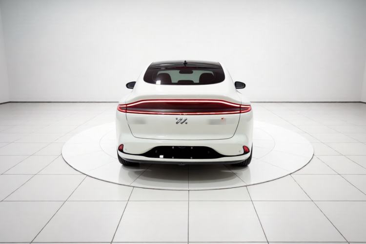 Used IM LS6 2023 Max Standard Edition Rear