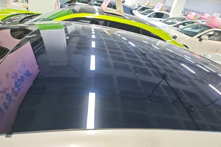 Used IM LS6 2023 Max Enhanced Performance Edition Roof