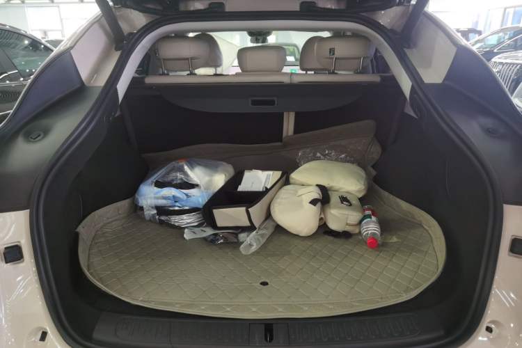 Used IM LS6 2023 Max Extended-Range Version Trunk