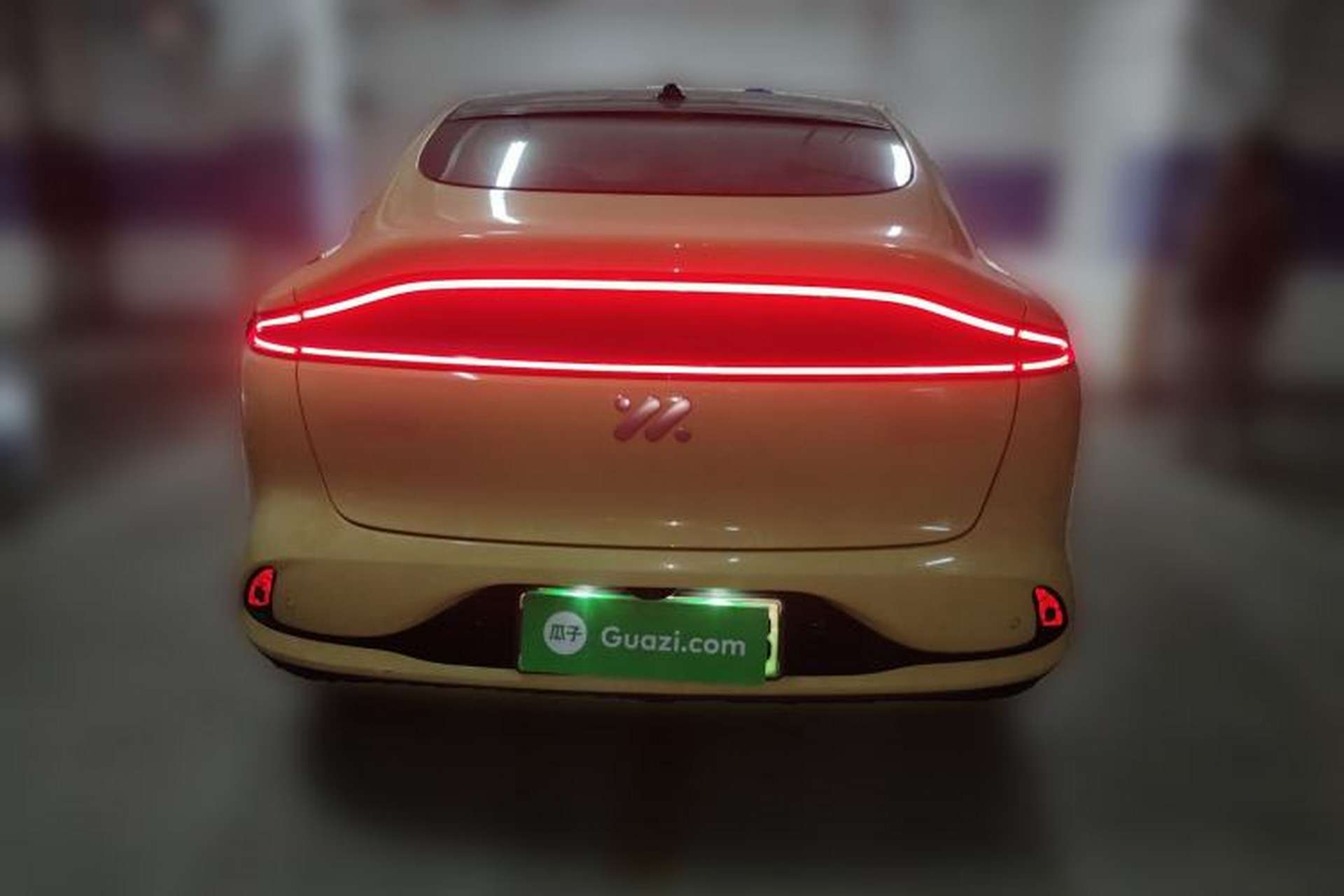 Used IM LS6 2023 Max Standard Edition Rear
