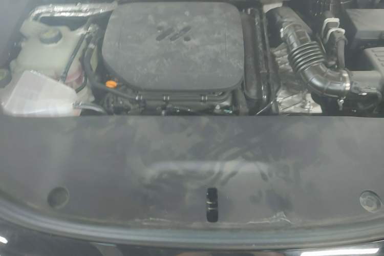Used IM LS6 2026 Model Range-Extending 66 Max+ Engine Bay
