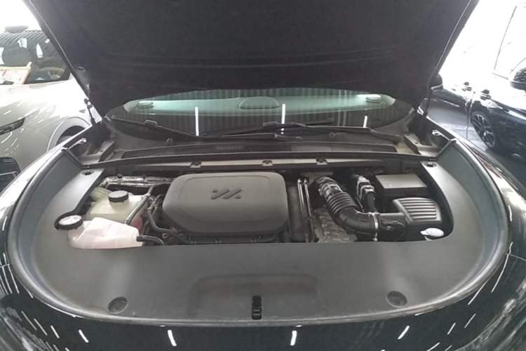 Used IM LS6 2026 Model Range-Extending 66 Max Engine Bay