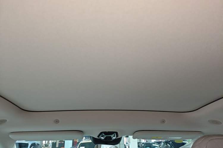 Used IM LS6 2026 Model Range-Extending 66 Max Headliner