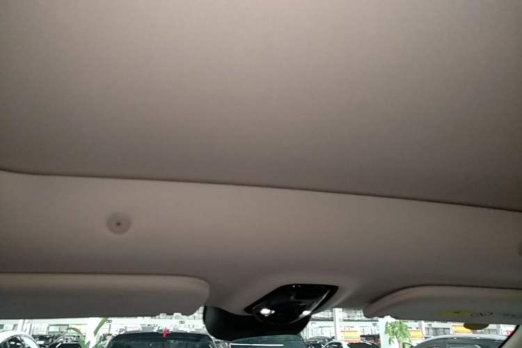 Used IM LS6 2026 Model Range-Extending 66 Max Headliner