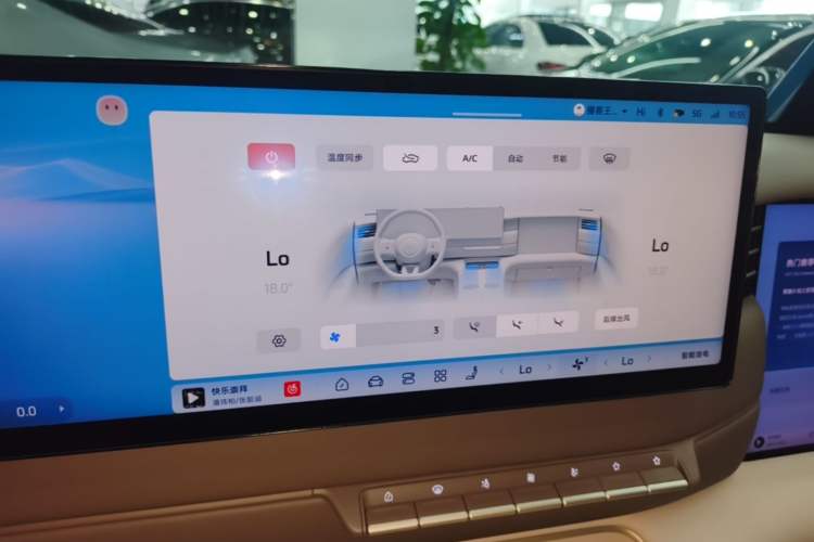 Used IM LS6 2026 Model Range-Extending 66 Max+ Audio And AC Panel