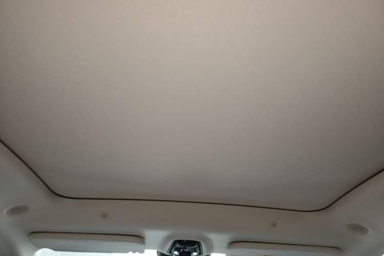 Used IM LS6 2026 Model Pure Electric Max Headliner