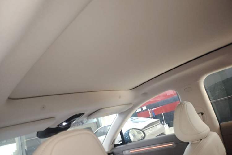 Used IM LS6 2026 Model Pure Electric Max Headliner