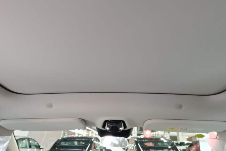 Used IM LS6 2026 Model Range-Extending 66 Max Headliner
