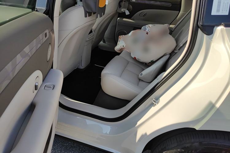 Used IM LS6 2026 Model Range-Extending 66 Max Left Rear Seat