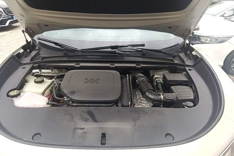 Used IM LS6 2026 Model Range-Extending 66 Max+ Engine Bay