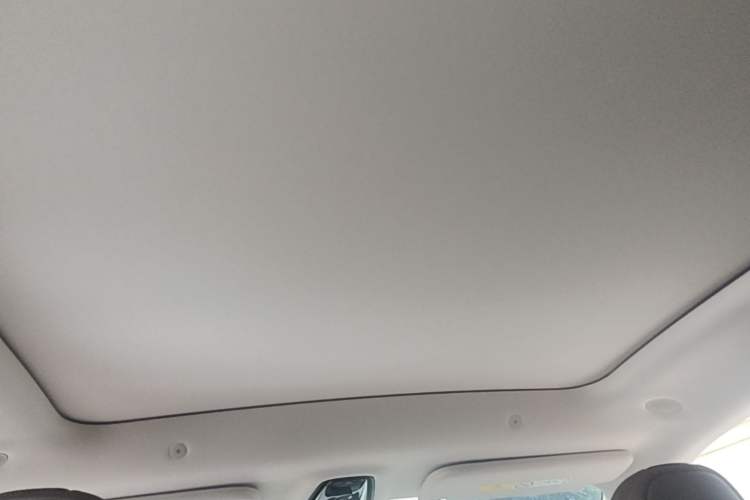 Used IM LS6 2026 Model Range-Extending 66 Max+ Headliner
