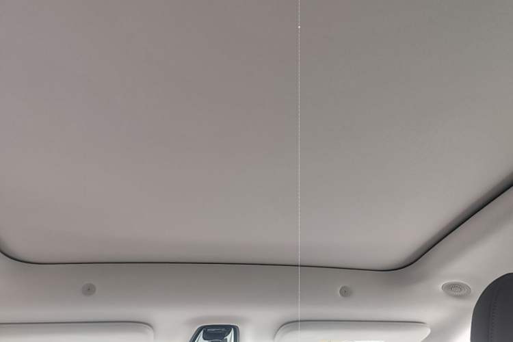 Used IM LS6 2026 Model Range-Extending 66 Max Headliner