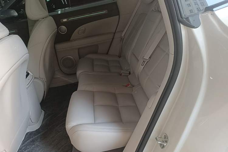 Used IM LS6 2026 Model Pure Electric Max Left Rear Seat