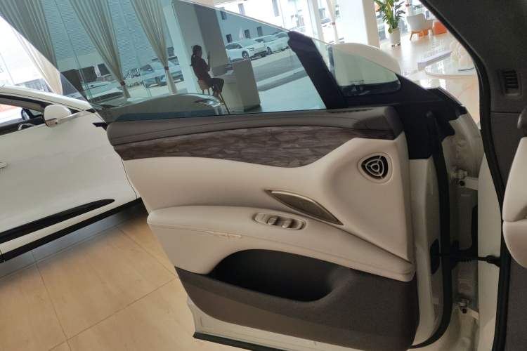 Used IM LS7 2025 New Edition Ultra Left Front Door Interior