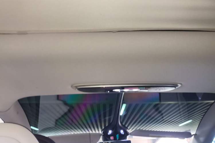 Used IM LS7 2023 90 kWh Elite Rear-Drive Version Headliner
