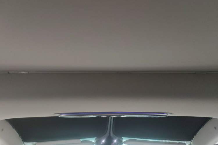 Used IM LS7 2023 90 kWh Elite Rear-Drive Version Headliner