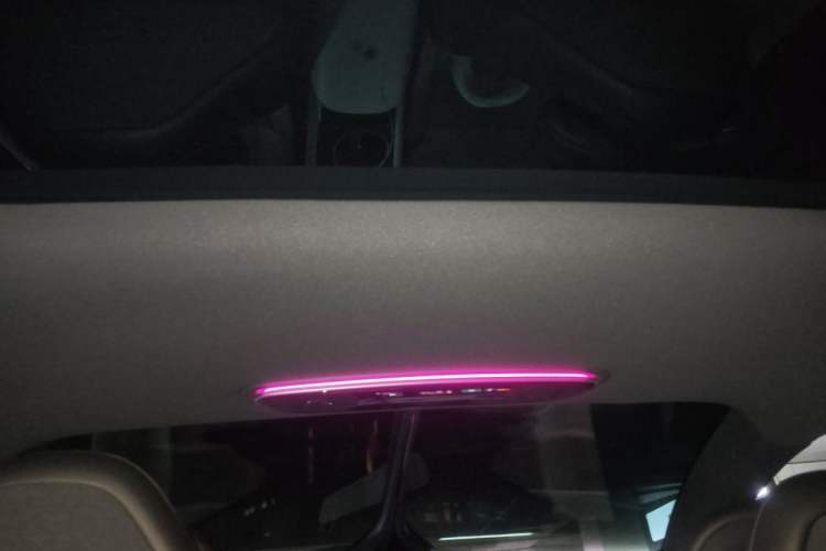 Used IM LS7 2023 90 kWh Elite Rear-Drive Version Headliner