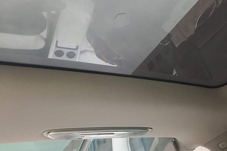 Used IM LS7 2023 90 kWh Elite Rear-Drive Version Headliner