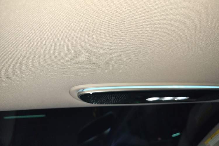 Used IM LS7 2023 90 kWh Elite Rear-Drive Version Headliner