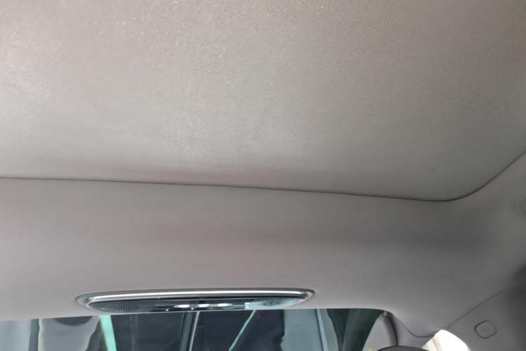 Used IM LS7 2023 90 kWh Elite Rear-Drive Version Headliner