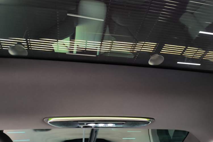 Used IM LS7 2023 90 kWh Elite Rear-Drive Version Headliner