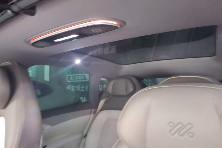 Used IM LS7 2023 90 kWh Elite Rear-Drive Version Headliner