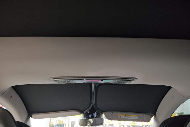 Used IM LS7 2023 90 kWh Elite Rear-Drive Version Headliner