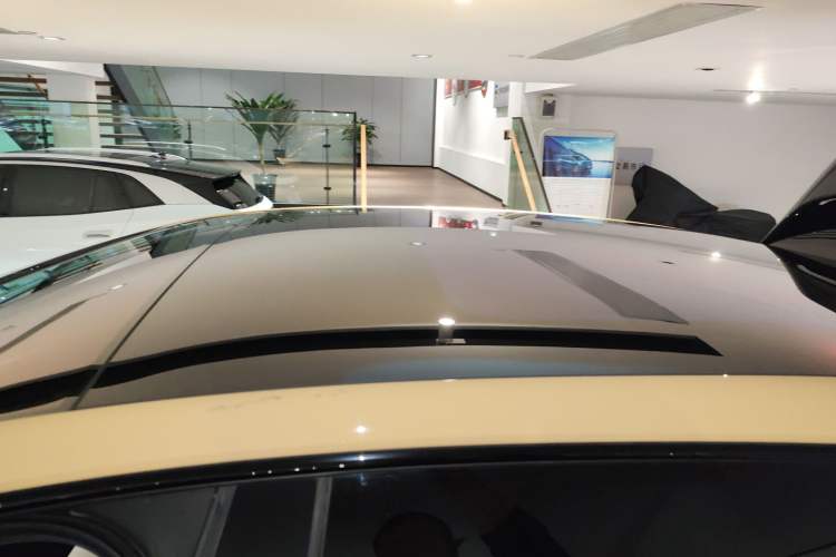 Used IM LS7 2023 90 kWh Elite Rear-Drive Version Roof