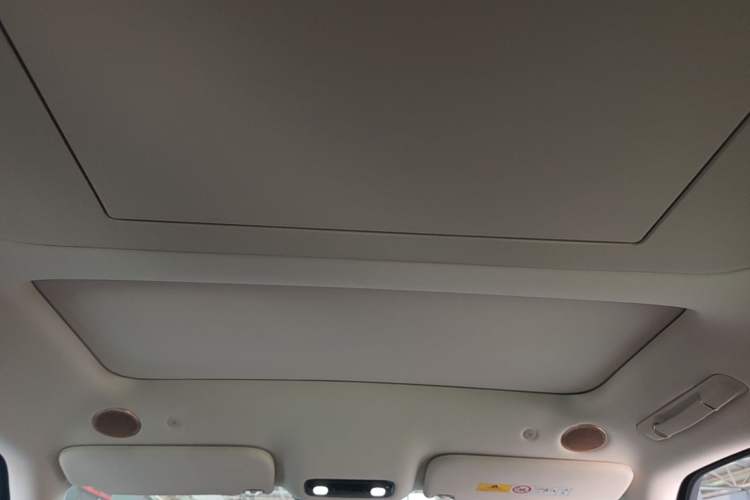 Used IM LS9 2026 Model 52 Ultra Headliner