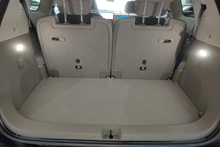 Used IM LS9 2026 Model 52 Ultra Trunk