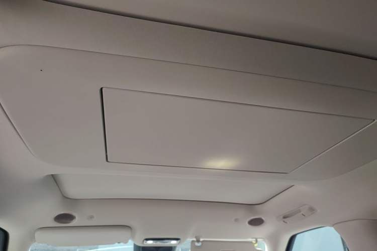 Used IM LS9 2026 Model 52 Ultra Headliner