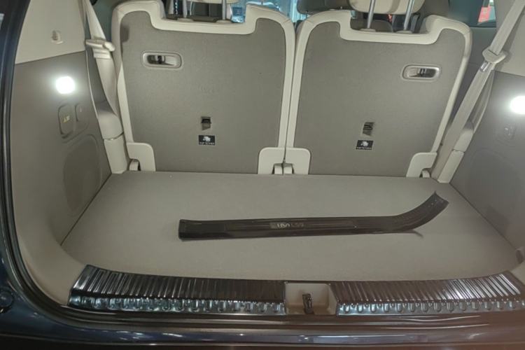 Used IM LS9 2026 Model 66 Ultra Trunk