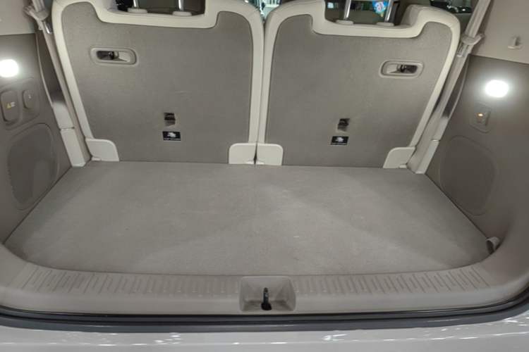 Used IM LS9 2026 Model 66 Ultra Trunk