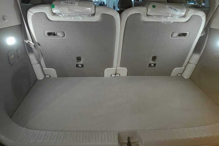 Used IM LS9 2026 Model 66 Ultra Trunk