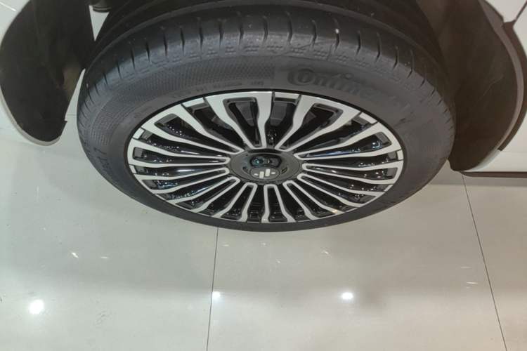Used IM LS9 2026 Model 52 Ultra Right Rear Wheel Hub