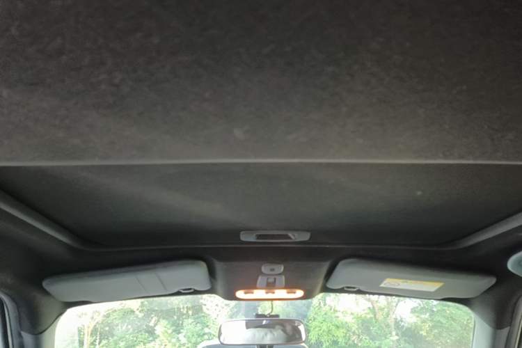 Used Infiniti ESQ 2014 1.6L Spontaneous Edition Headliner